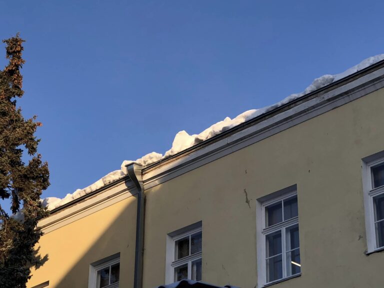 Lumekoristus Tartu Linnaraamatukogu katuselt